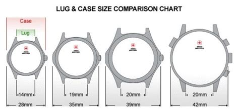 iwc watch band sizes